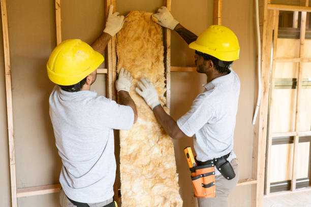 Types of Insulation We Offer in Lavon, TX